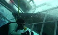 �����Ľ�ѵ��ʮ�ֶ� ���������