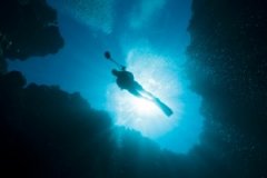 �����Ľ�ѵ���ѽ�