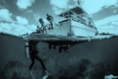 �����Ľ�ѵ�������ļ� �� ���Ը�����ͷ�ˣ�