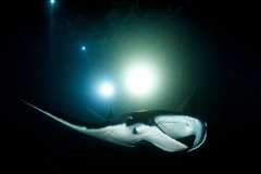 ˮ�������ʹ��10��