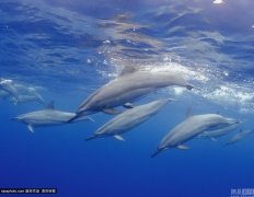 ���������ܴ�ѧ���ˮ����Ӱ��������Ʒ