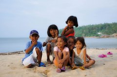 <b>����Ĺ���-���� Donsol</b>