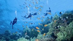 <b>�������ξ���˵�һ����Ǳˮ�� 4�˱������о�10��</b>