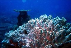 ����ɺ�������콸ɺ��110����