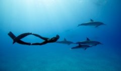 <b>9��19-20��������ǱˮAIDA*������!</b>