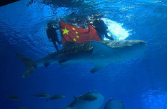 ���������족 �������