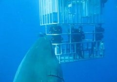 ǱˮԱż��������������ܡ����֡�