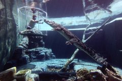 �Ĵ����ǵ�����֮��