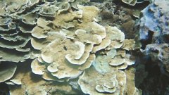 ̨��6������쭸� ���������ɺ�����������