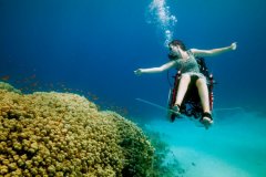 ���׵���������