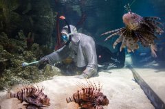 �׶�ˮ���չ����ȡ���ɨ���� �������������Χ��