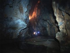 �з��ƿ���������:����˫�Ӷ�����������������Ѩ