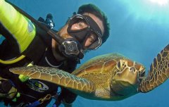 ������Ǳˮ�뺣�꾨��Ⱥ��׶��������ߺ�