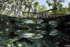 ��Ӱʦ�߷ø���ˮ�� ��¼ˮ��ˮ����������