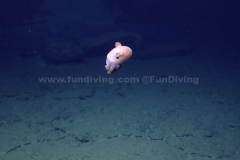 <b>ī�������������֡�С�������㡱�ߺ�����</b>