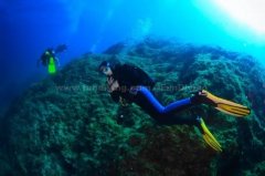 �׶���Ǳˮ����