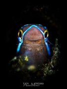 ˮ����Ӱ΢������91��