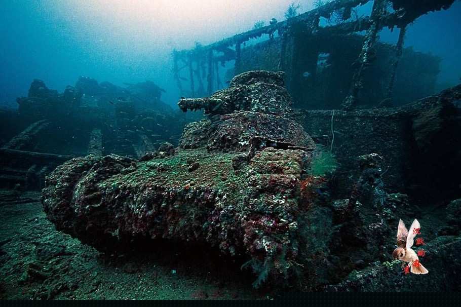 ����³��к��Ǳˮ ̽��ȫ����󴬲�Ĺ��