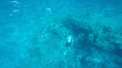 �����͵����������ڵ�ͼ�϶��޷�Ѱ���������Ȼ��������Ǳˮ����