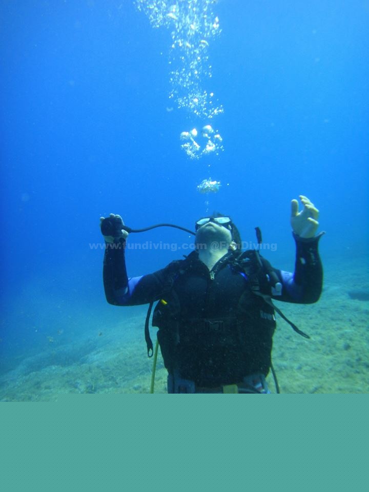 <b>Ǳˮ�������ɷ���</b>