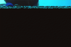 ��ȫŻ���ֲ� (ˮ�а�)